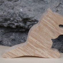 bröllop plats kort marmot berg tema